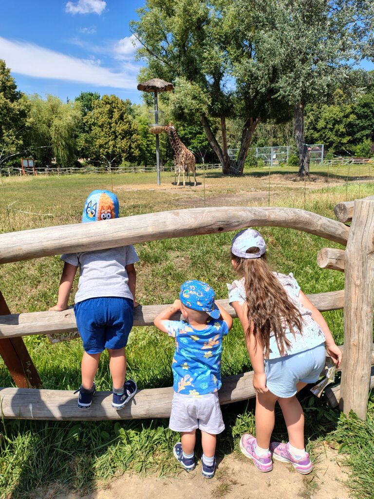 Dzieci w zoo oglądające żyrafę.